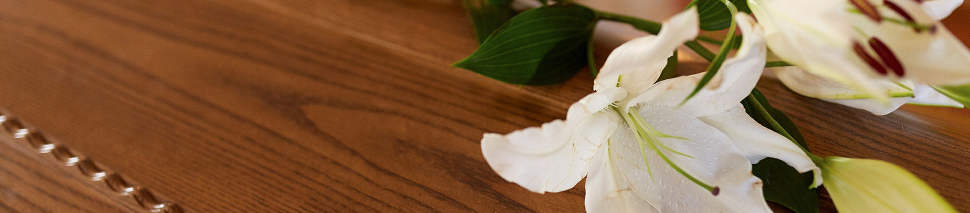 White Flower on a Coffin